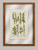 Dietrich Grass VI