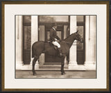 Virginia Squire I