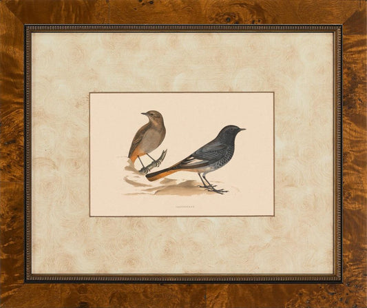 Birds I