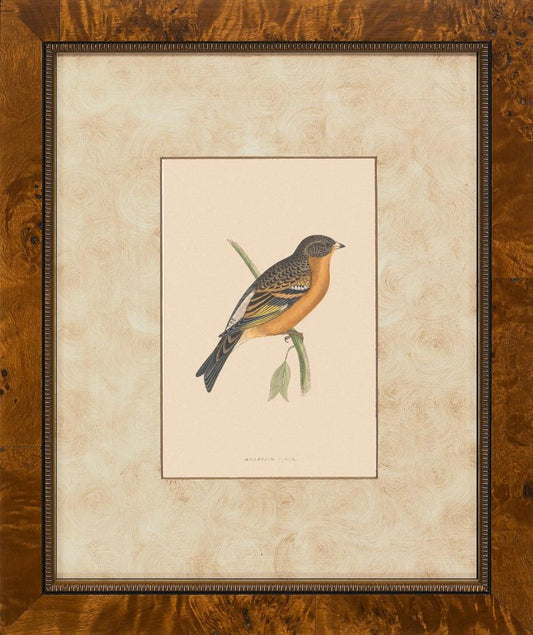Birds II