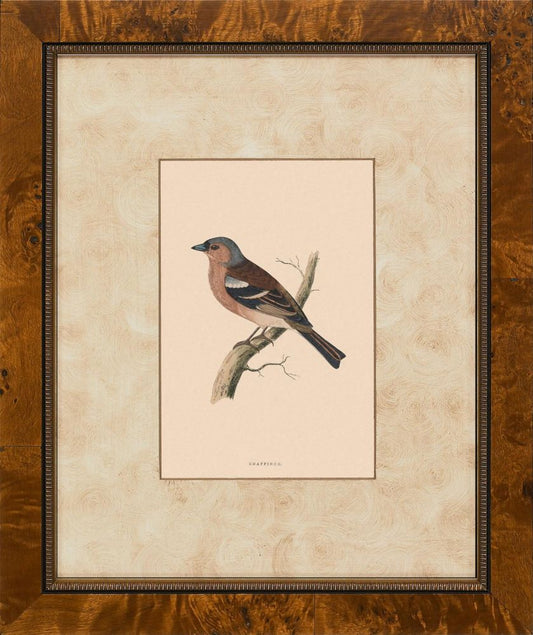 Birds III