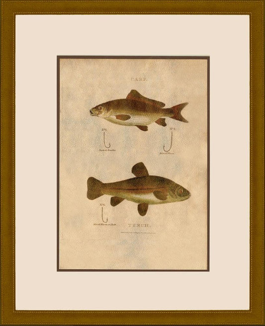 Fish Gear II