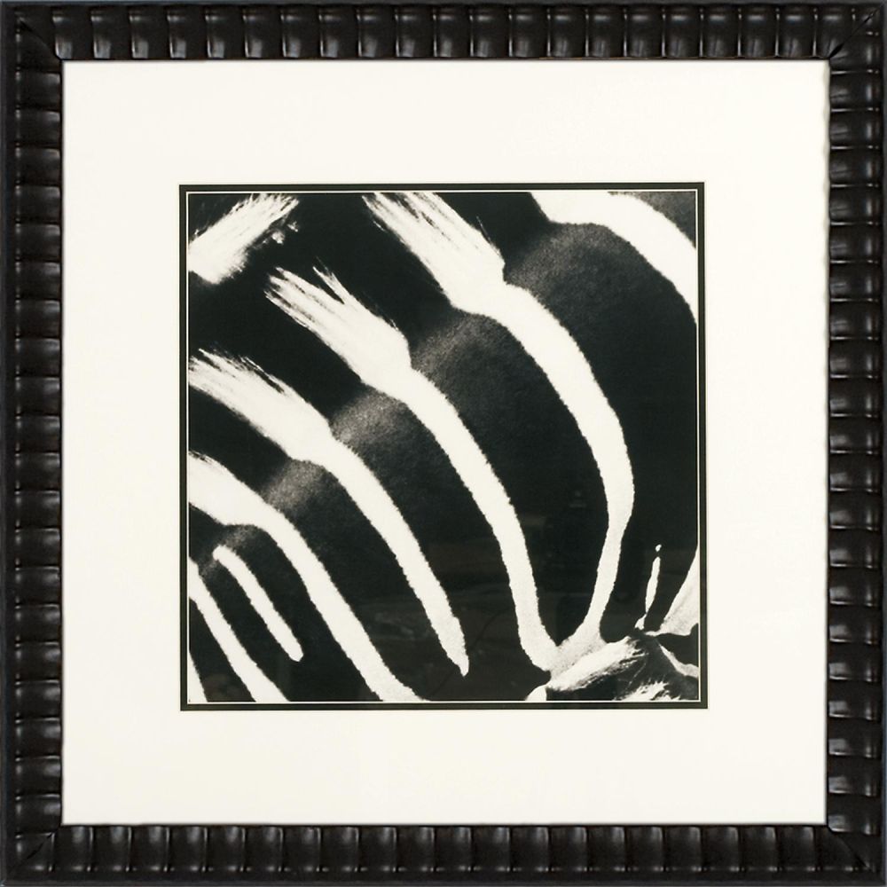 Zebra IV