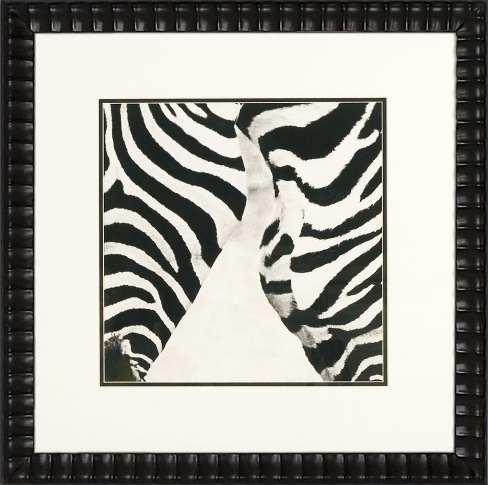 Zebra V
