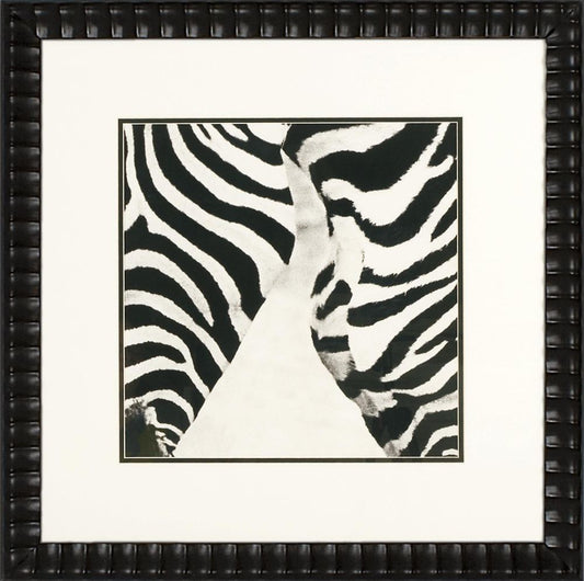 Zebra V