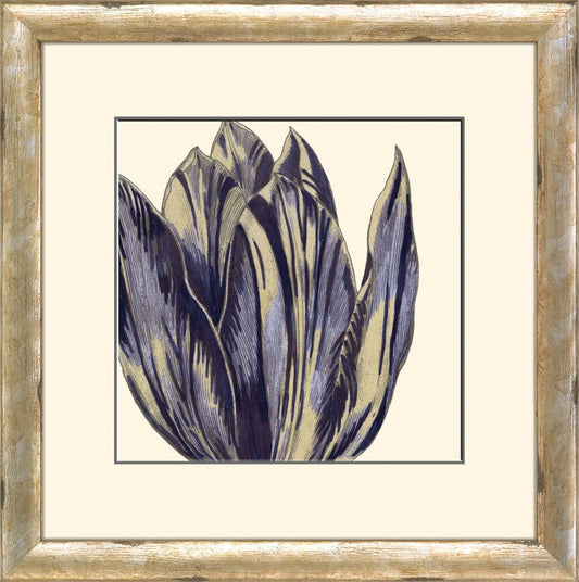 Curtis Flower Head VI A