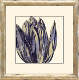 Curtis Flower Head VI A