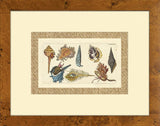 Drake Shells I