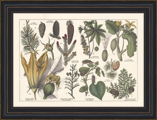 Tableau I