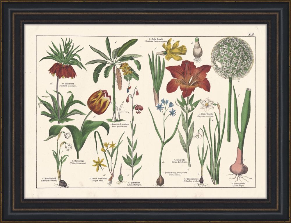 Tableau III
