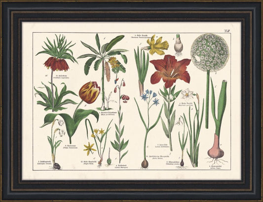 Tableau III