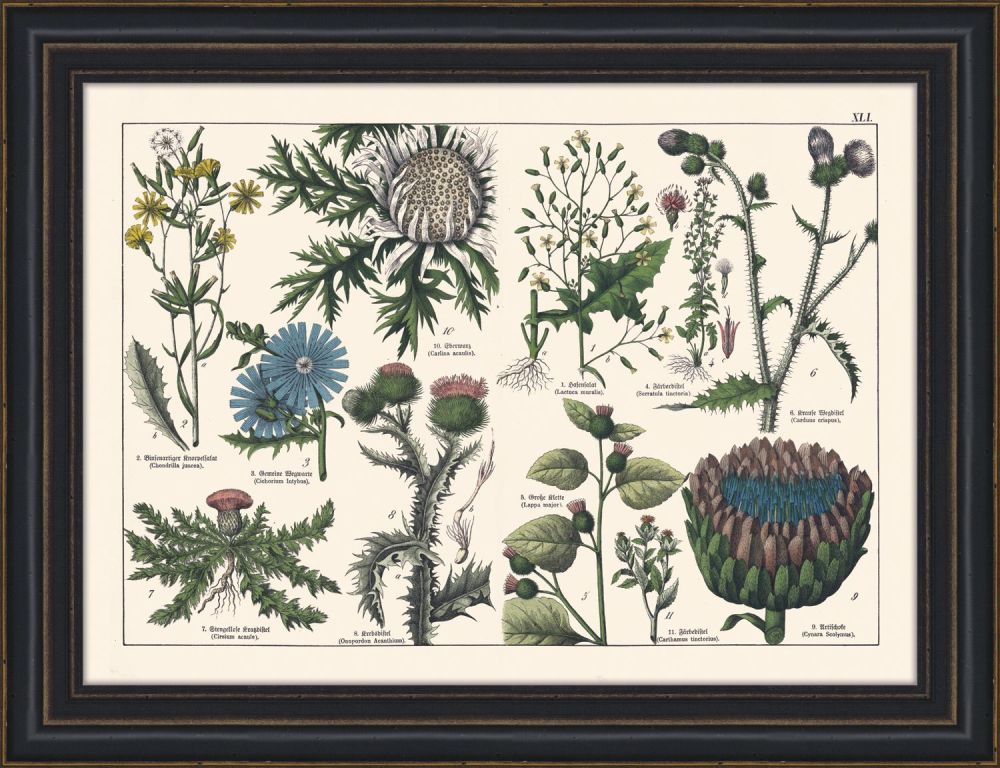 Tableau IV