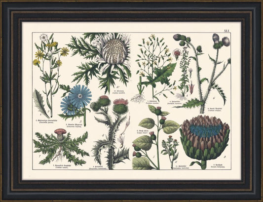Tableau IV