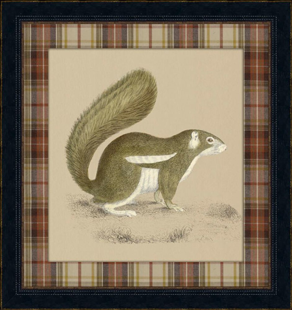 Chipmunk I