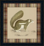 Chipmunk I