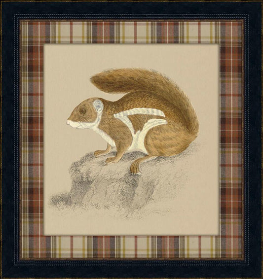 Chipmunk II