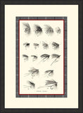 Trout Flies