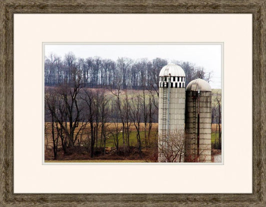 In The Country I