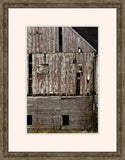 In The Country IV