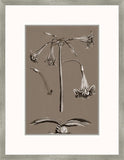 Buchoz Flowers On Taupe IV