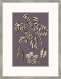 Buchoz Flowers On Amethyst II