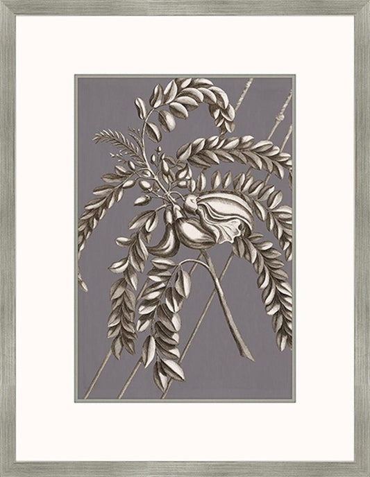 Buchoz Flowers On Gray Plum I