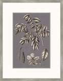 Buchoz Flowers On Gray Plum II