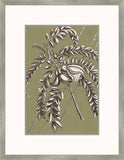 Buchoz Flowers On Sage I