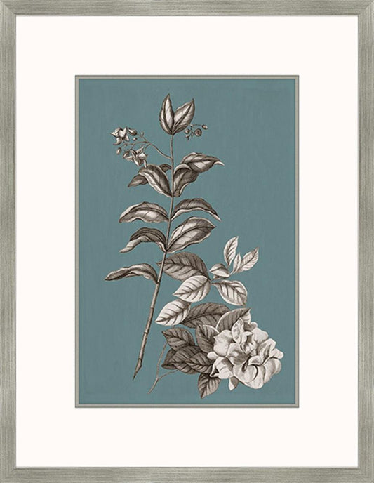 Buchoz Flowers On Teal III