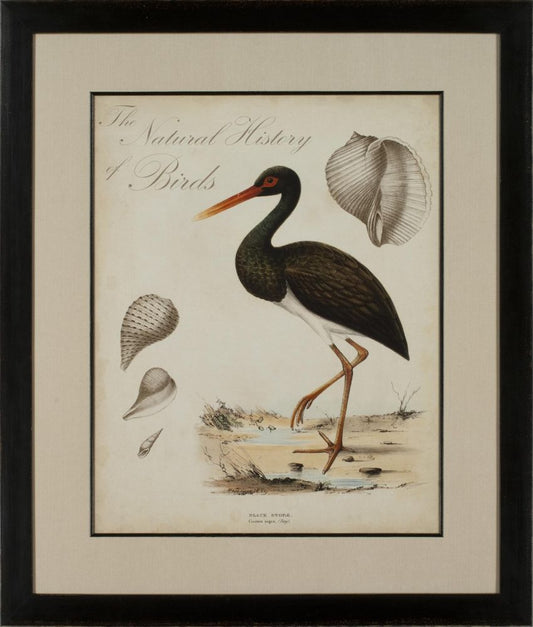HERON ANTHOLOGY I