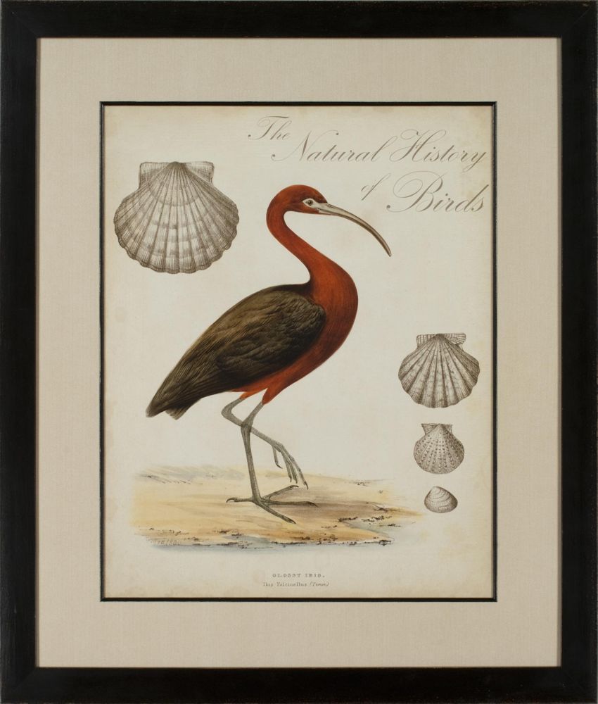 HERON ANTHOLOGY II