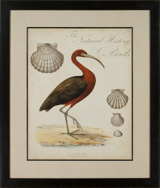 HERON ANTHOLOGY II