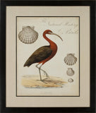 HERON ANTHOLOGY II
