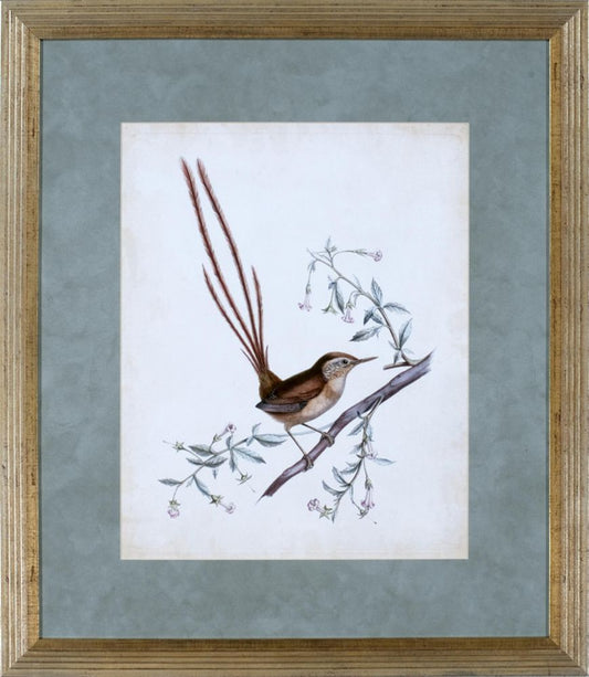 DELICATE BIRDS I