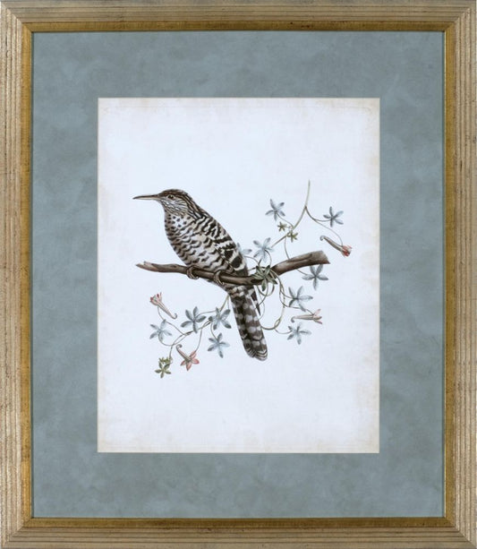 DELICATE BIRDS IV