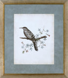 DELICATE BIRDS IV