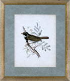 DELICATE BIRDS VI