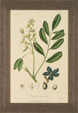 WOODLAND FOLIAGE I