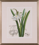 LES FLEURS BRANCHES I