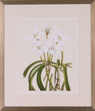LES FLEURS BRANCHES III