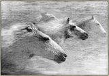 Unbroken Spirit II