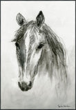 Equus Left
