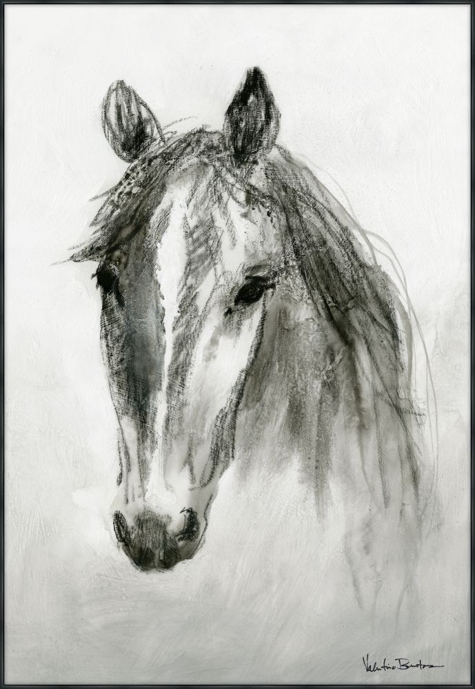 Equus Left