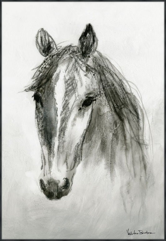 Equus Left