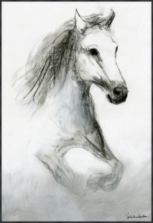 Equus Right