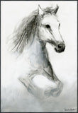 Equus Right