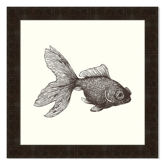 Goldfish