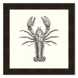 Lobster