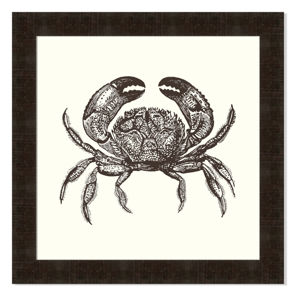 Crab