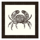 Crab